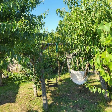 Vila Hipo Venus Ngoại thất bức ảnh